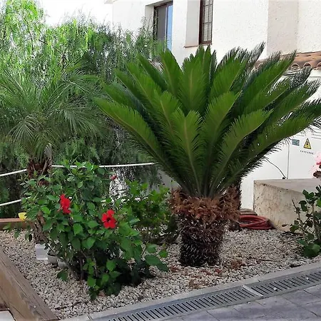 Olivos Holiday Home Altea Exterior foto