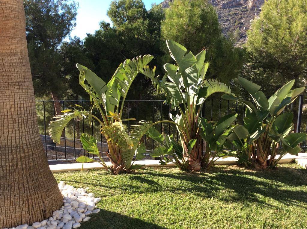 Olivos Holiday home Altea