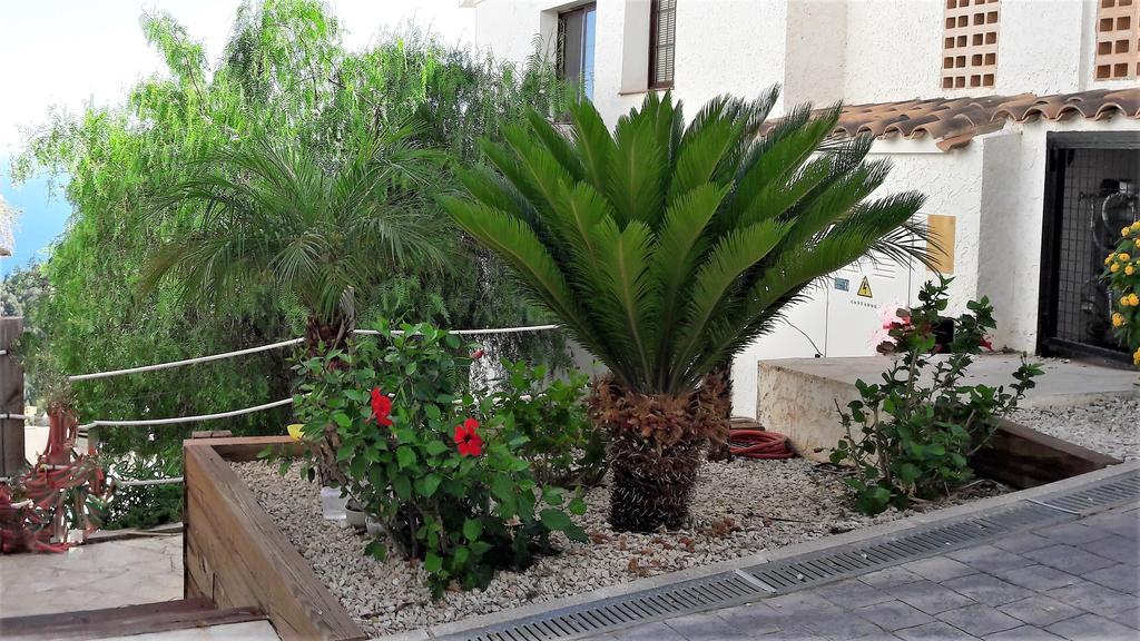 Olivos * Altea